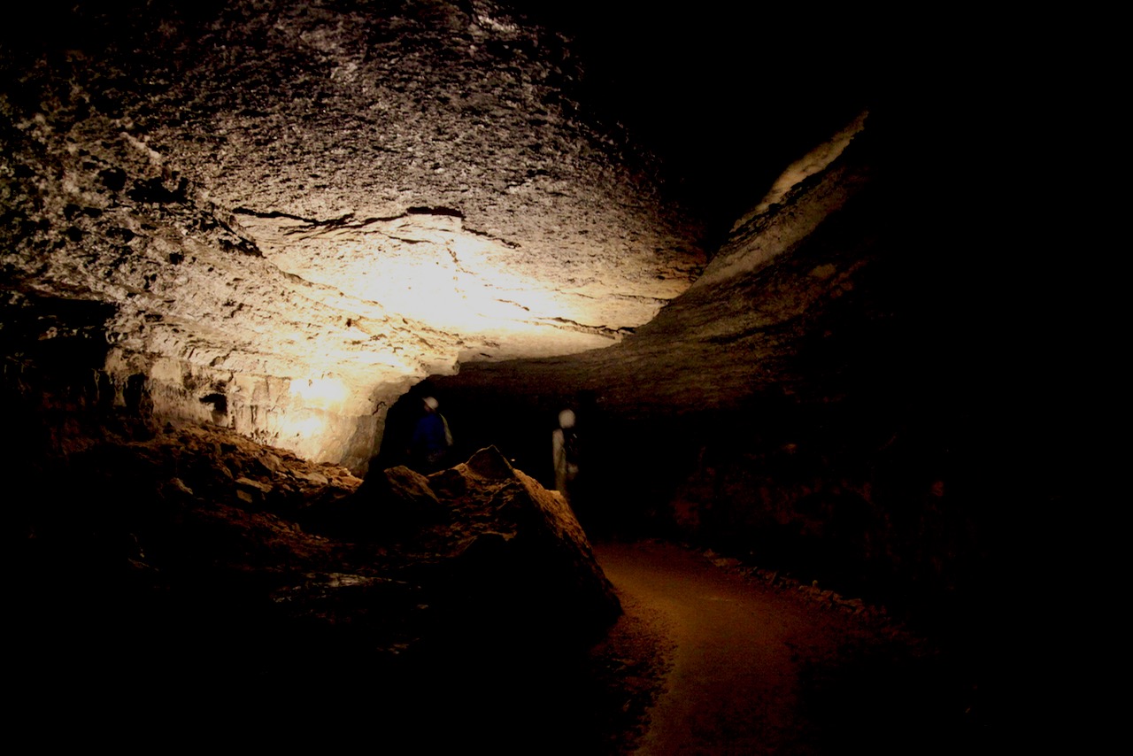 Henri walking the Grand Avenue tour, Mammoth Cave