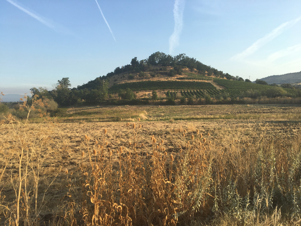 Working at an Organic Farm in Oregon Just a little tour