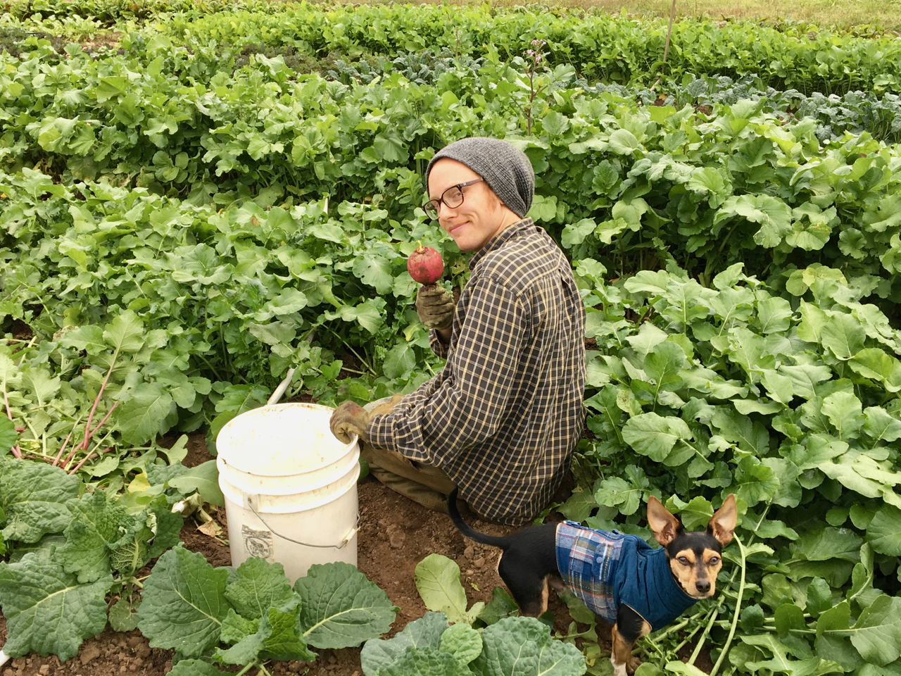 Travailler dans une ferme bio dans l
